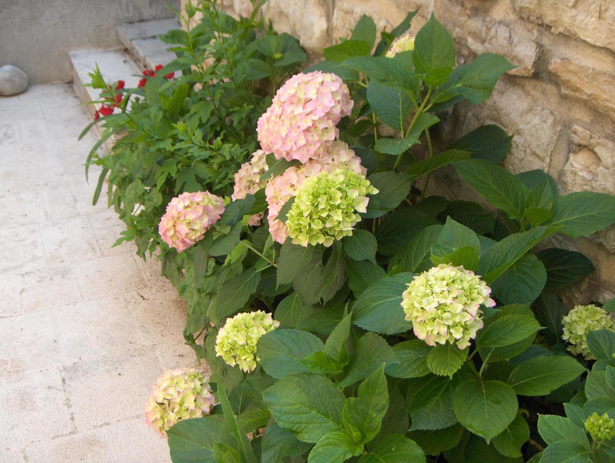 Guest House Lucijo Vrboska Zewnętrze zdjęcie