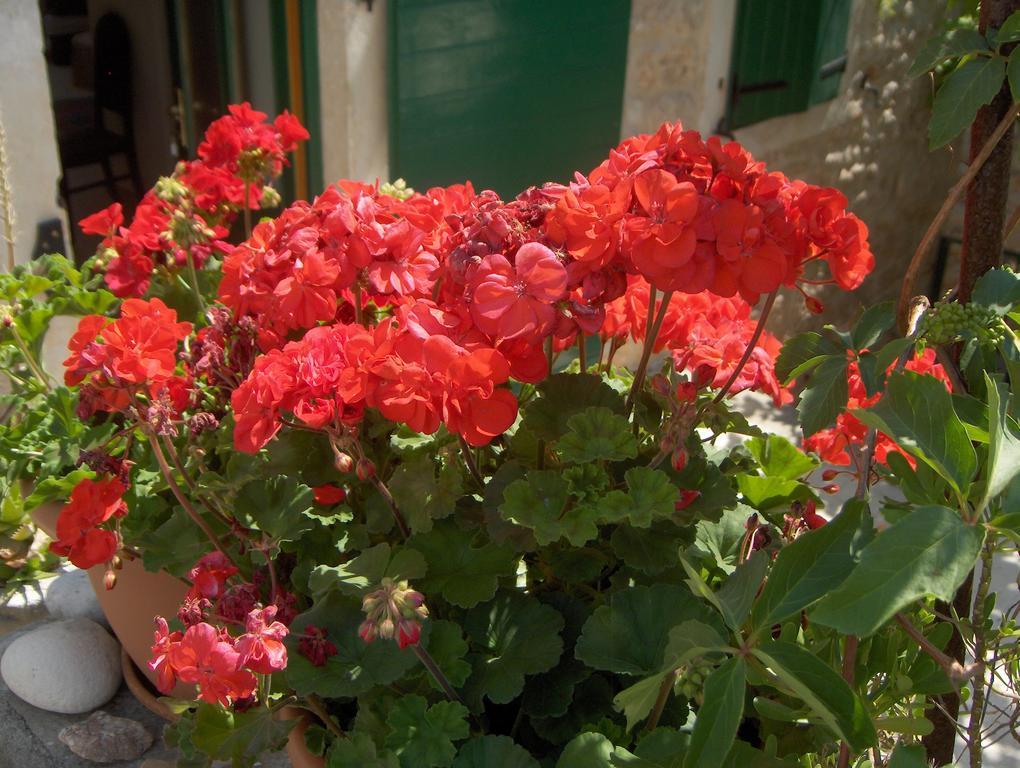 Guest House Lucijo Vrboska Zewnętrze zdjęcie